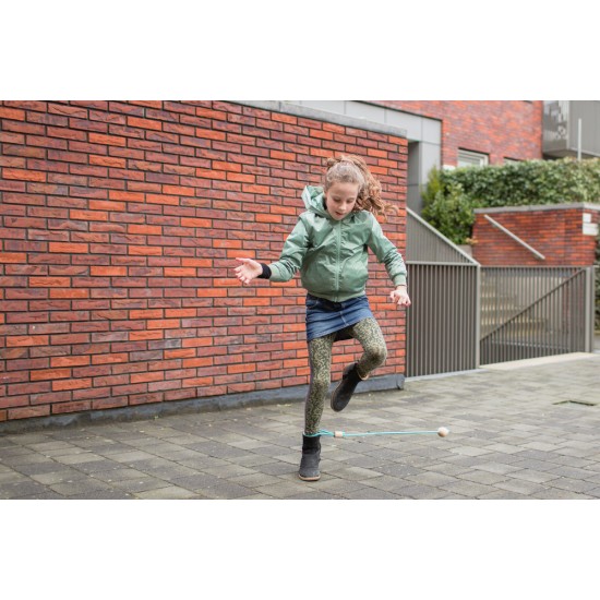 ANKLE SWING