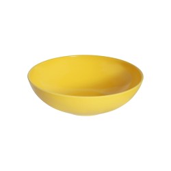 ΣΑΛΑΤΙΕΡΑ ΜΕΛΑΜΙΝΗΣ 20CM ΚΙΤΡΙΝΗ