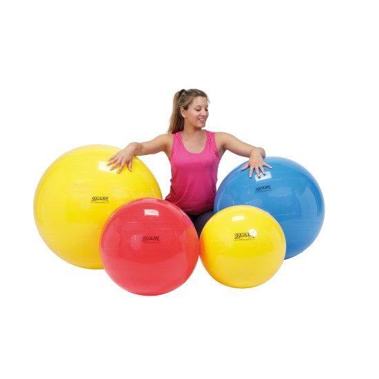 ΜΠΑΛΑ ΓΥΜΝΑΣΤΙΚΗΣ BASIC 55cm