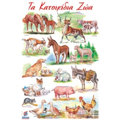 ΤΑ ΚΑΤΟΙΚΙΔΙΑ ΖΩΑ