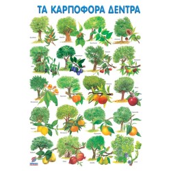 ΤΑ ΚΑΡΠΟΦΟΡΑ ∆ΕΝΤΡΑ